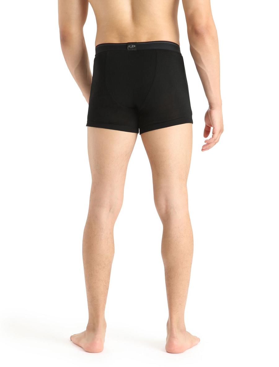 Icebreaker Merino 175 Everyday Thermal Boxers With Fly Férfi Fehérnemű Fekete | HU 1293VRWD